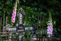 Friedhof in Barger Compascuum (NL)