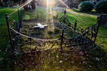 Hasefriedhof Osnabrück