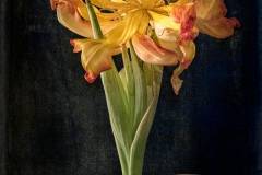 verbluehen_1