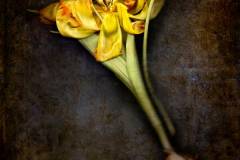 verbluehen_3