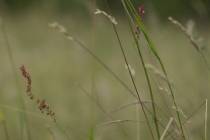 web_Haiku (13)_*