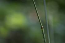 web_Haiku (4)_*