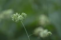 web_Haiku (9)_*