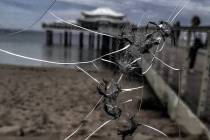 20210921_162325-xy