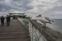 20210921_162825-xy