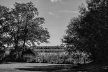 Timmendorf-Hemmelsdorfer-See-13