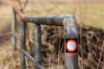 Ringweg_#