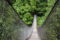 15 Hängebrücke im Lynn Canyon Park nördlich von Vancouver