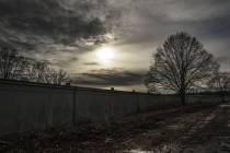 DSC0013-xy