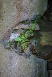 web_MVE_Rückeroberung_02_*