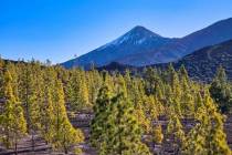 13-Teide_