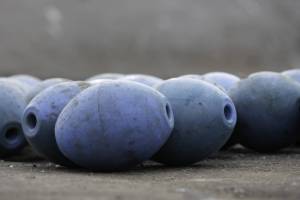 Blau
