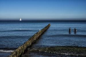 blau-2