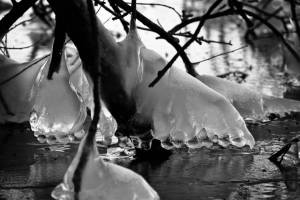 DSC_0609-02sw