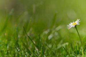 image00002