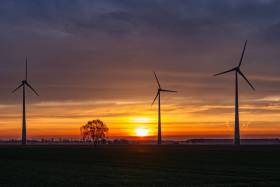 Windraeder-in-der-Abendsonne_1