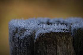 Frost-1