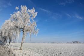 Frost2