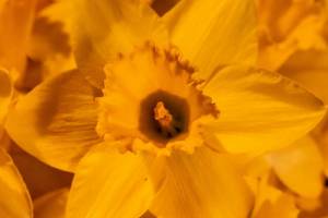 IMG_0688