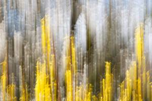 Fruehling_2_FarbenDesFruehlings
