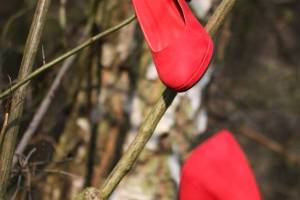 UME_im-Schwebezustand