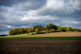 Herbst-06126