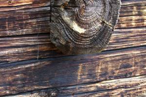 NEM-Holz-1
