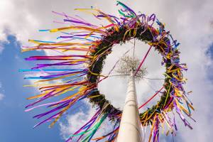 Maibaum