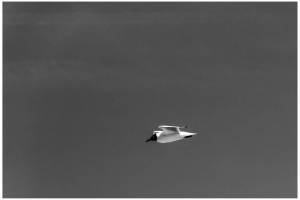 Minimalismus