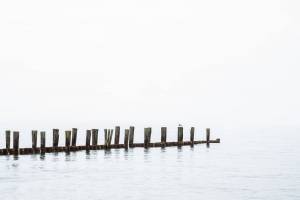 image00001
