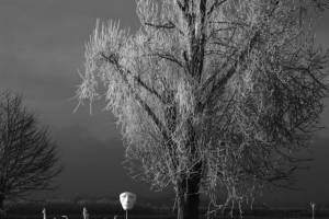202201-Januar-22-Thema-monochrom-03