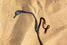 Monatsthema Schatten