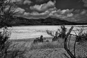 DSC_4924-01-sw