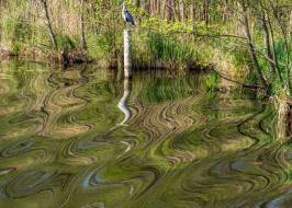 UEO_Spiegelung_DSC03905