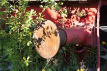WMI_Natur-mit-rostigem-Eisen2-