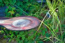 WMI_Natur-mit-rostigem-Eisen5-
