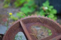 WMI_Natur-mit-rostigem-Eisen9-
