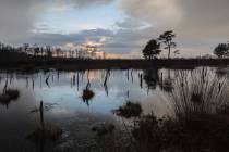 Venner Moor