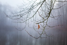 09-06-2026-quartalsthema-stille-3-besprechung-m_2012-11-30_11-03-17