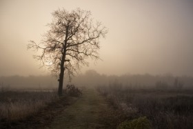 21-07-2026-abschluss-des-quartalsthemas-stille_2025-12-28_10-04-21