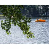 Seeansicht#