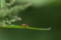 Miniaturwelten-18_