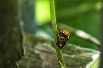 Miniaturwelten-2_