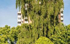 Iduna-Hochhaus