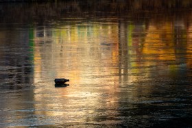 abschluss-des-quartalsthemas-spiegelungen-der-stadt-31_2025-12-30_15-27-23