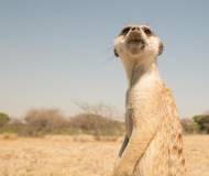 Stefan Michels - Afrika 5