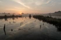 CHK-Venner Moor-4_#