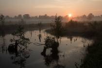 CHK-Venner Moor-5_#