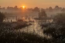 CHK-Venner Moor-6_#