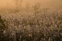 CHK-Venner Moor-7_#